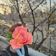 ヒメ日記 2025/04/08 12:46 投稿 しょうこ 汁婆クラブ