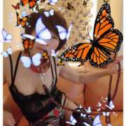 ヒメ日記 2025/05/30 14:20 投稿 しょうこ 汁婆クラブ