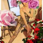 ヒメ日記 2025/06/27 12:14 投稿 しょうこ 汁婆クラブ