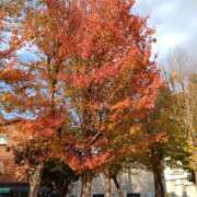 しょうこ 寒〜い！ 汁婆クラブ