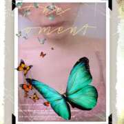 ヒメ日記 2025/12/28 12:14 投稿 しょうこ 汁婆クラブ