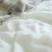 ヒメ日記 2025/03/22 10:42 投稿 カンナ Celeb Garden(セレブガーデン)