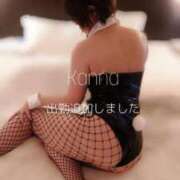 ヒメ日記 2025/08/12 22:48 投稿 カンナ Celeb Garden(セレブガーデン)