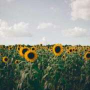 ヒメ日記 2025/08/10 12:03 投稿 えり 出会い系人妻ネットワーク さいたま～大宮編