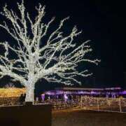 ヒメ日記 2025/12/25 11:06 投稿 塔野 変態美熟女お貸しします。