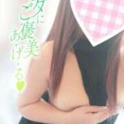 ヒメ日記 2026/03/01 09:23 投稿 奥村ほまれ 人妻家久喜