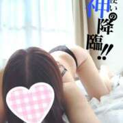 ヒメ日記 2026/04/11 09:43 投稿 奥村ほまれ 人妻家 古河・小山店