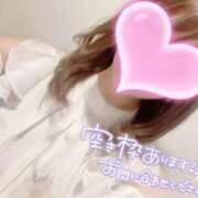 ヒメ日記 2025/03/24 18:06 投稿 みらい 京都 泡洗体ハイブリッドエステ PUPPY LOVE 京都駅前本店