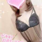 ヒメ日記 2025/04/15 12:15 投稿 みらい 京都 泡洗体ハイブリッドエステ PUPPY LOVE 京都駅前本店