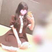 ヒメ日記 2025/02/22 14:49 投稿 ミコト AMOUR（アムール）