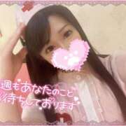 ヒメ日記 2025/05/12 12:52 投稿 ミコト AMOUR（アムール）