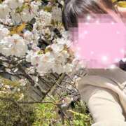 ヒメ日記 2025/04/19 09:20 投稿 はな アメリカンクリスタル