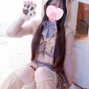 ヒメ日記 2025/06/09 12:20 投稿 はな アメリカンクリスタル