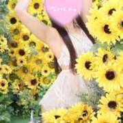 ヒメ日記 2025/11/12 09:35 投稿 はな アメリカンクリスタル