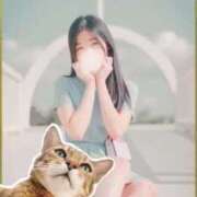 ヒメ日記 2025/08/21 13:20 投稿 きの わちゃわちゃ密着リアルフルーちゅ西船橋