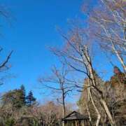 ヒメ日記 2025/01/14 22:01 投稿 蒼井海久 プレジデントハウス