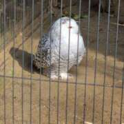 ヒメ日記 2025/03/02 13:02 投稿 蒼井海久 プレジデントハウス