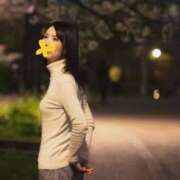 ヒメ日記 2025/05/15 12:53 投稿 蒼井海久 プレジデントハウス