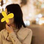 ヒメ日記 2025/07/14 11:15 投稿 蒼井海久 プレジデントハウス