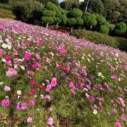 ヒメ日記 2024/12/17 22:21 投稿 まこ♡完全業界未経験♡ 即生専門店ゴッドパイ