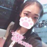 ヒメ日記 2025/03/31 23:48 投稿 まこ♡完全業界未経験♡ 即生専門店ゴッドパイ