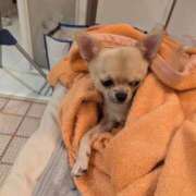 ヒメ日記 2025/06/08 18:57 投稿 まこ♡完全業界未経験♡ 即生専門店ゴッドパイ