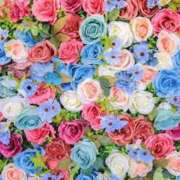 ヒメ日記 2025/12/11 22:07 投稿 まこ♡完全業界未経験♡ 即生専門店ゴッドパイ