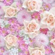 ヒメ日記 2026/02/01 23:34 投稿 まこ♡完全業界未経験♡ 即生専門店ゴッドパイ