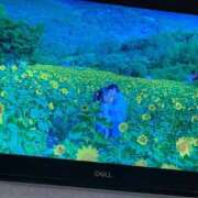 ヒメ日記 2026/04/21 09:44 投稿 まこ♡完全業界未経験♡ 即生専門店ゴッドパイ