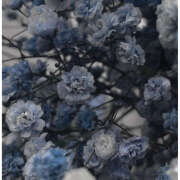 ヒメ日記 2024/12/10 20:55 投稿 みり ラブコレ