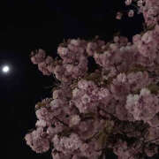 ヒメ日記 2024/12/14 23:14 投稿 みり ラブコレ