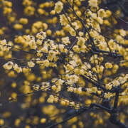 ヒメ日記 2024/12/18 19:34 投稿 みり ラブコレ