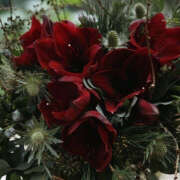 ヒメ日記 2024/12/21 19:54 投稿 みり ラブコレ