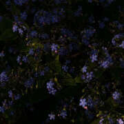 ヒメ日記 2024/12/29 20:06 投稿 みり ラブコレ