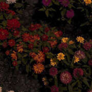 ヒメ日記 2025/01/07 19:30 投稿 みり ラブコレ