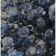 ヒメ日記 2025/01/08 21:00 投稿 みり ラブコレ