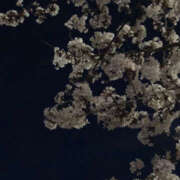 ヒメ日記 2025/01/15 22:09 投稿 みり ラブコレ