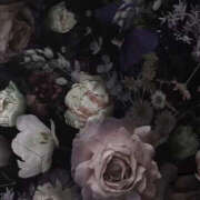 ヒメ日記 2025/01/27 19:44 投稿 みり ラブコレ