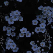 ヒメ日記 2025/02/13 20:28 投稿 みり ラブコレ