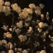 ヒメ日記 2025/02/17 19:44 投稿 みり ラブコレ