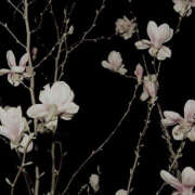 ヒメ日記 2025/02/21 19:37 投稿 みり ラブコレ