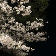 ヒメ日記 2025/02/24 19:28 投稿 みり ラブコレ