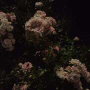 ヒメ日記 2025/02/25 19:58 投稿 みり ラブコレ