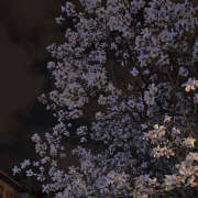 ヒメ日記 2025/02/28 19:46 投稿 みり ラブコレ