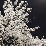 ヒメ日記 2025/03/01 19:40 投稿 みり ラブコレ