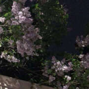 ヒメ日記 2025/03/07 19:27 投稿 みり ラブコレ