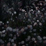 ヒメ日記 2025/04/02 20:01 投稿 みり ラブコレ