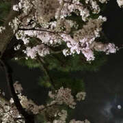 ヒメ日記 2025/04/17 21:12 投稿 みり ラブコレ