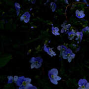 ヒメ日記 2025/04/29 20:05 投稿 みり ラブコレ