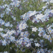 ヒメ日記 2025/05/02 20:20 投稿 みり ラブコレ